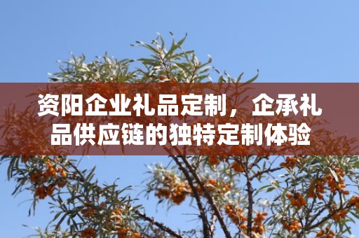 资阳企业礼品定制，企承礼品供应链的独特定制体验