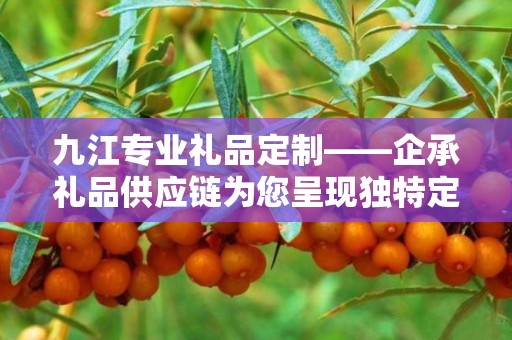 九江专业礼品定制——企承礼品供应链为您呈现独特定制体验