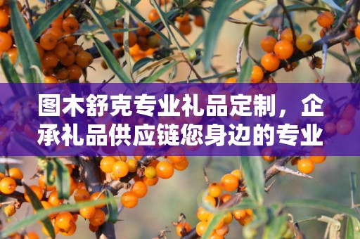 图木舒克专业礼品定制，企承礼品供应链您身边的专业礼品定制公司