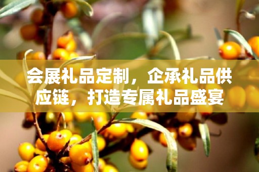 会展礼品定制，企承礼品供应链，打造专属礼品盛宴